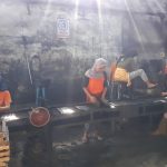 Arang Briket Kelapa Murah di Semarang Berkualitas Ekspor WA +62818736837