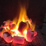 Benefits of coconut shell charcoal